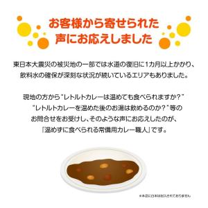 5年保存 非常食 江崎グリコ 常備用カレー職人...の詳細画像2