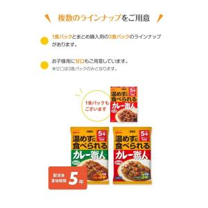 5年保存 非常食 江崎グリコ 常備用カレー職人...の詳細画像4