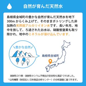 7年保存 保存水 杉田エース イザメシ 非常用...の詳細画像3