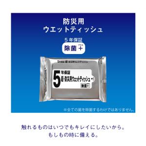 5年保証 超 防災用ウェットティッシュ 除菌プ...の詳細画像1