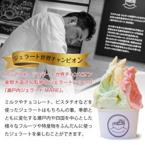 ジェラート アイス 【世界チャンピオン監修】瀬...の詳細画像1