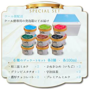 ジェラート アイス 【世界チャンピオン監修】瀬...の詳細画像3