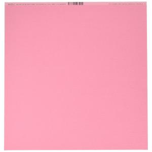 Bazzill バジル グラスクロス テクスチャ― カードストック Fourz  12 x 12  Piglet 300878