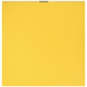 Bazzill バジル グラスクロス テクスチャ― カードストック Fourz  12 x 12  Desert Marigold 301055