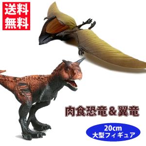 恐竜 おもちゃ カルノタウルス プテラノドン 肉食恐竜フィギュア 20cm 大サイズ恐竜 ダイナソー リアルなモデル 本格的なフィギュア 誕生日 クリスマス