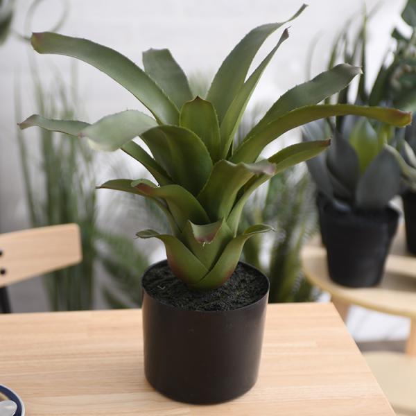 観葉植物 フェイクグリーン ボタニカル 造花 おしゃれ ポット 小さい Brown. ブラウン フリ...