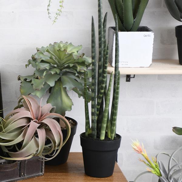 サンスベリア 観葉植物 フェイクグリーン ボタニカル 造花 おしゃれ ポット 小さい Brown. ...