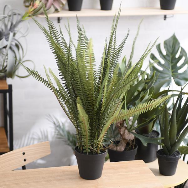 観葉植物 フェイクグリーン ボタニカル 造花 おしゃれ ポット 小さい Brown. ブラウン ボス...