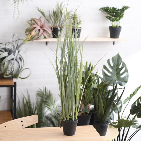 観葉植物 フェイクグリーン ボタニカル 造花 おしゃれ ポット 小さい Brown. ブラウン グラ...