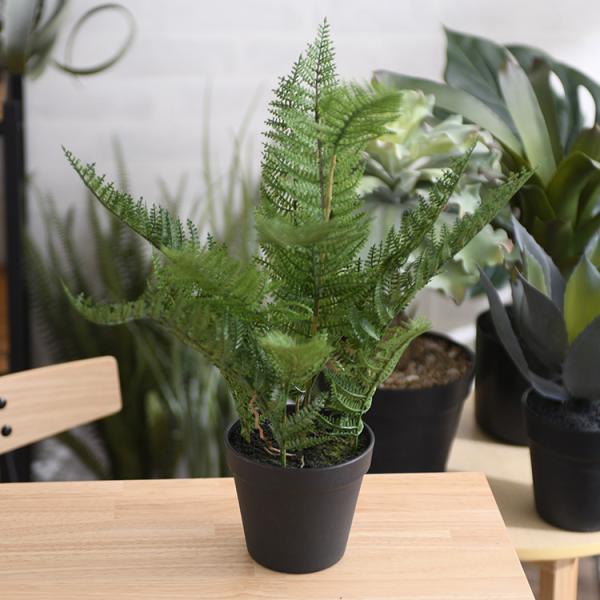 観葉植物 フェイクグリーン ボタニカル 造花 おしゃれ ポット 小さい Brown. ブラウン ファ...