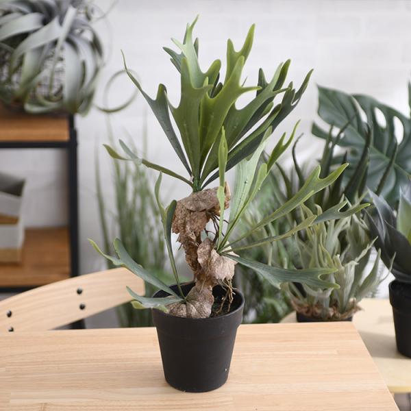 観葉植物 フェイクグリーン ボタニカル 造花 おしゃれ ポット 小さい Brown. ブラウン ビカ...