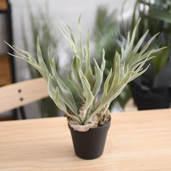 観葉植物 フェイクグリーン ボタニカル 造花 おしゃれ ポット 小さい Brown. ブラウン ビカ...