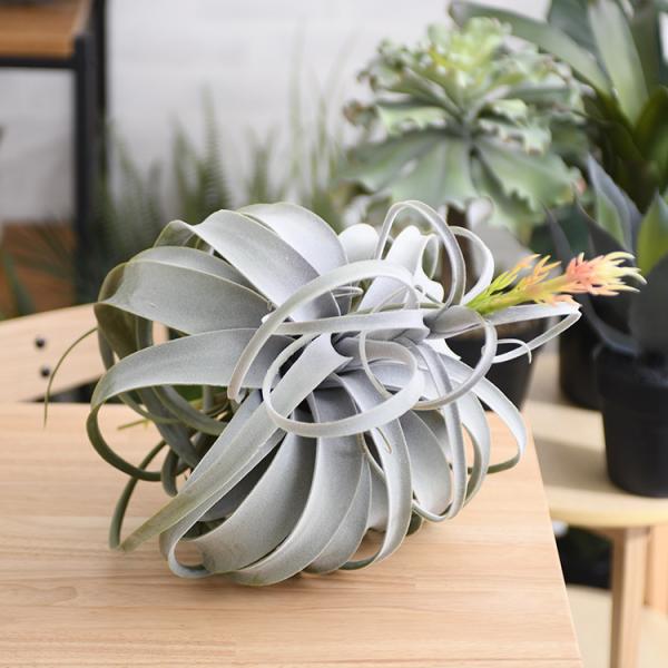 観葉植物 フェイクグリーン ボタニカル 造花 おしゃれ ポット 小さい Brown. ブラウン キセ...