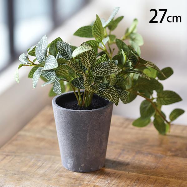 フェイクグリーン おしゃれ 鉢 フィトニア ペット フェイクグリーン フィトニア ポット