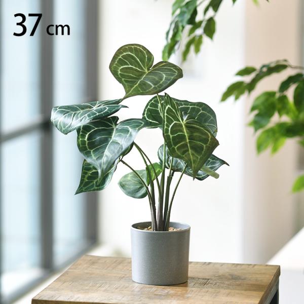 フェイクグリーン おしゃれ 鉢 クラリクラリネルビウム ペット フェイクグリーン クラリクラリネルビ...