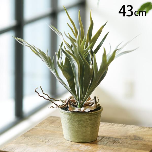 フェイクグリーン おしゃれ 鉢 スタッキングホーン ペット フェイクグリーン スタッキングホーン ポ...