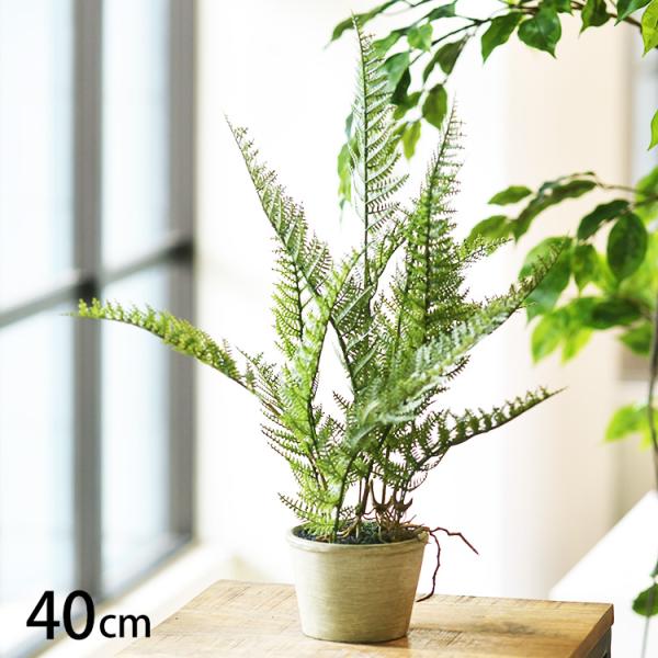 フェイクグリーン おしゃれ 鉢 シダー ペット フェイクグリーン シダー ポット