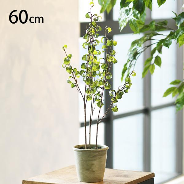 フェイクグリーン おしゃれ 鉢 ベンジャミンバロック ペット フェイクグリーン ベンジャミンバロック...