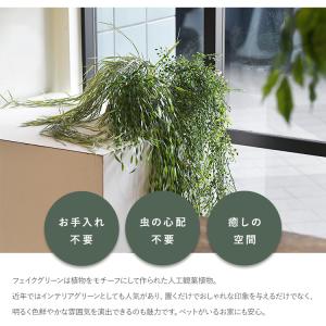 フェイクグリーン 鉢付き おしゃれ リプサリス...の詳細画像1