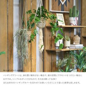 フェイクグリーン 鉢付き おしゃれ リプサリス...の詳細画像2