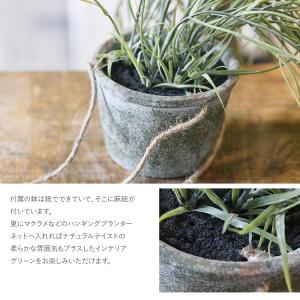 フェイクグリーン 鉢付き おしゃれ リプサリス...の詳細画像4