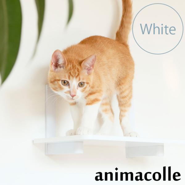 猫 賃貸 小さい穴 キャットステップ キャットウォーク 壁 DIY キャットステップ animaco...