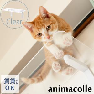 猫 賃貸 小さい穴 キャットステップ キャットウ...の商品画像