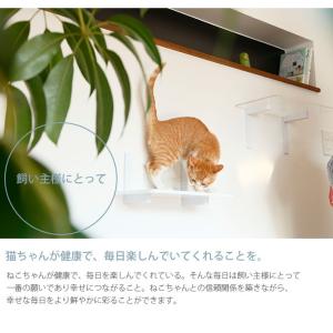 猫 賃貸 小さい穴 キャットステップ キャット...の詳細画像4