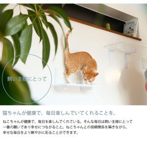 猫 賃貸 小さい穴 キャットステップ キャット...の詳細画像4