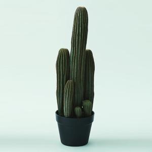 観葉植物 サボテン 造花 大型 大きい グリーン おしゃれ Brown