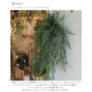 フェイクグリーン おしゃれ ハンギング コケ ...の詳細画像1