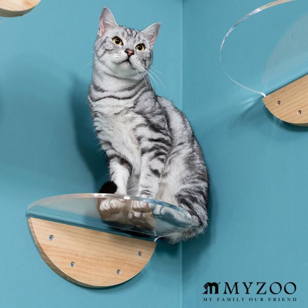猫 キャットステップ キャットウォーク 壁付け 壁掛け キャットステップ MYZOO マイズー Ro...