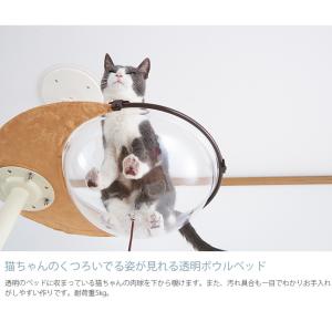 キャットタワー おしゃれ キャットツリー 突っ...の詳細画像2