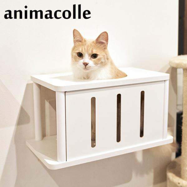 猫 賃貸 小さい穴 キャットステップ トンネル キャットタワー キャットウォーク キャットステップ ...