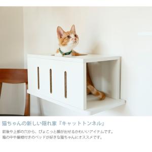 猫 賃貸 小さい穴 キャットステップ トンネル...の詳細画像2