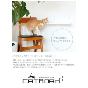 猫 賃貸 小さい穴 キャットステップ トンネル...の詳細画像4