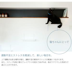 猫 賃貸 小さい穴 キャットステップ トンネル...の詳細画像5