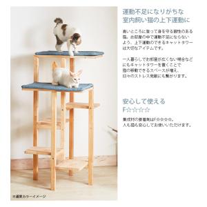 NATURAL SIGNATURE ナチュラル...の詳細画像3