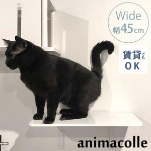 石膏ボード専用 ねこにゃんステップ 壁面取付 ネジ穴不要 猫用