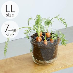 ポット 植木鉢 ガラス 7号鉢 おしゃれ shesay シセイ リューズガラス プレート付き フラワーポット テーパー LL｜girlyapartment