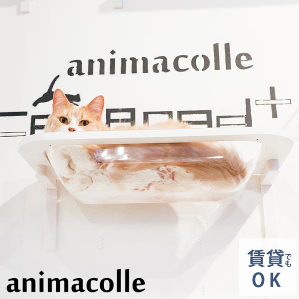 猫 賃貸 小さい穴 猫 ステップ 壁 上下運動 animacolle アニマコレ  Catroad+...