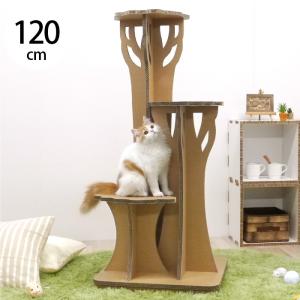 キャットタワー キャットスツール シューズラック シューズスツール