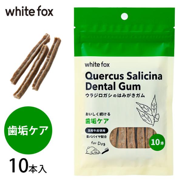 犬用 デンタルケア ガム ウラジロガシ はみがきガム whitefox ホワイトフォックス 愛犬用 ...