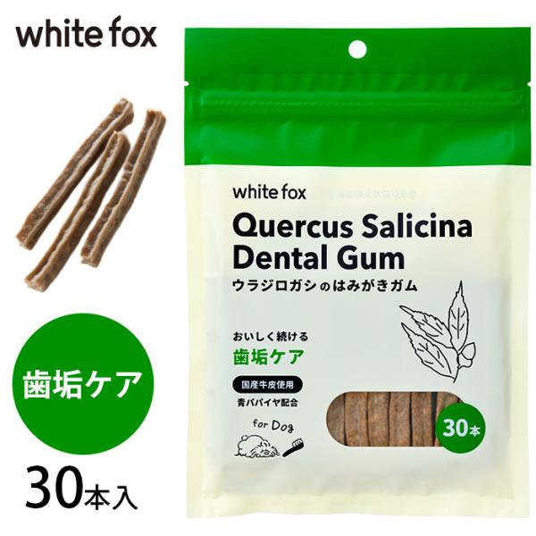 犬用 デンタルケア ガム ウラジロガシ はみがきガム whitefox ホワイトフォックス 愛犬用 ...