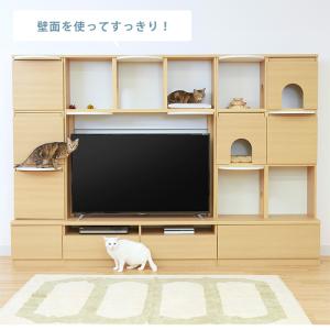 キャットタワー テレビ台 壁面収納 棚 キャッ...の詳細画像3