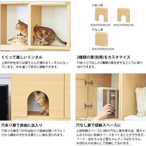 キャットタワー テレビ台 壁面収納 棚 キャッ...の詳細画像4