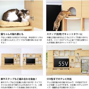 キャットタワー テレビ台 壁面収納 棚 キャッ...の詳細画像5