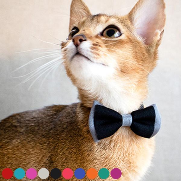 猫 首輪 おしゃれ かわいい ギフト 猫用 首輪 リボン necono ネコノ 猫の首輪 Luce ...