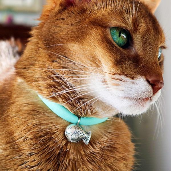 猫 首輪 鈴 おしゃれ かわいい 猫 首輪 necono ネコノ 猫の首輪 Luce Bell ルー...