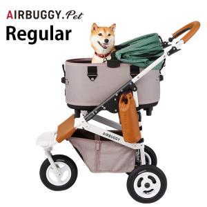 エアバギー ドーム2 ブレーキ ベーシックカモ グリーン Mセット